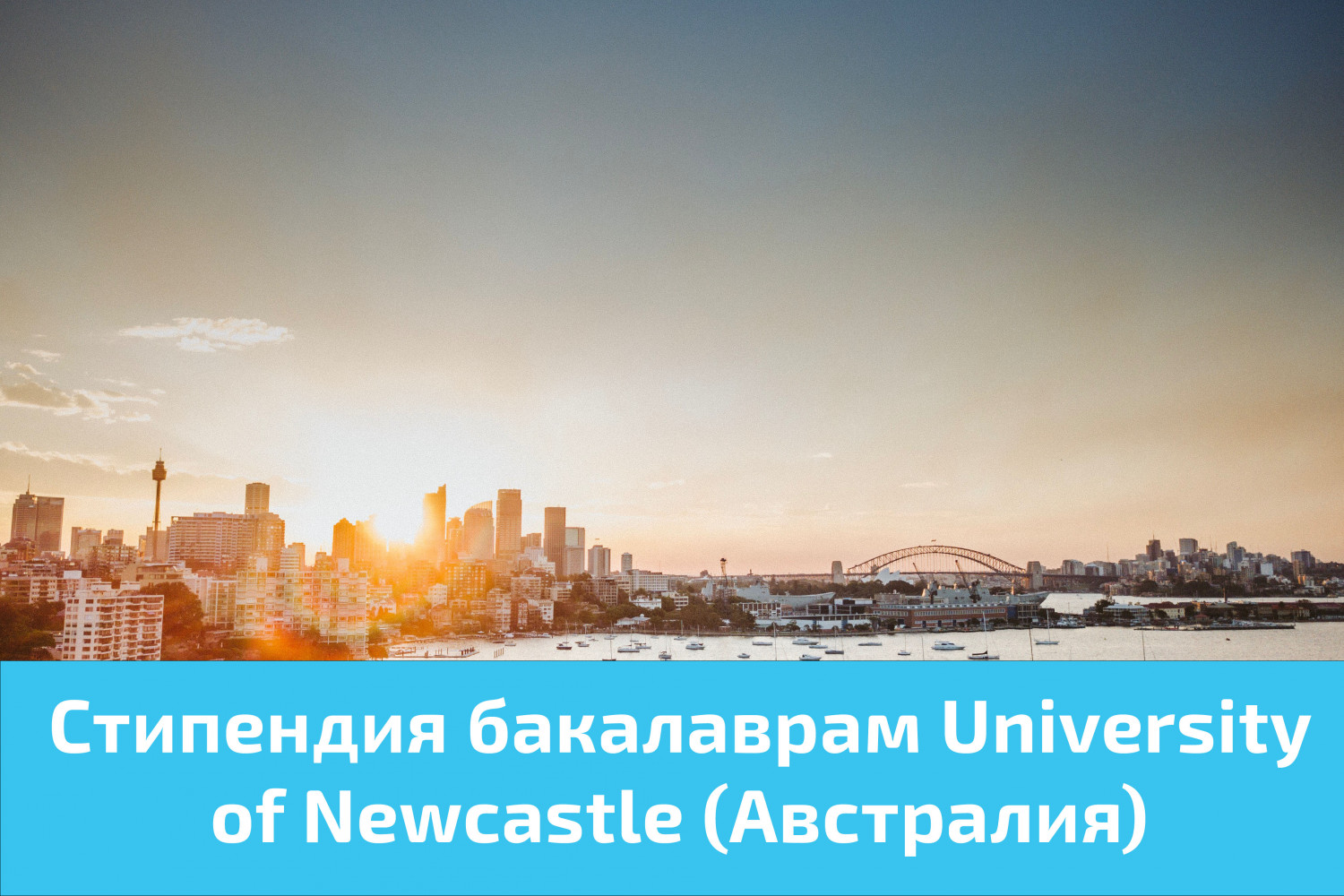 Стипендия бакалаврамUniversity of Newcastle (Австралия) 