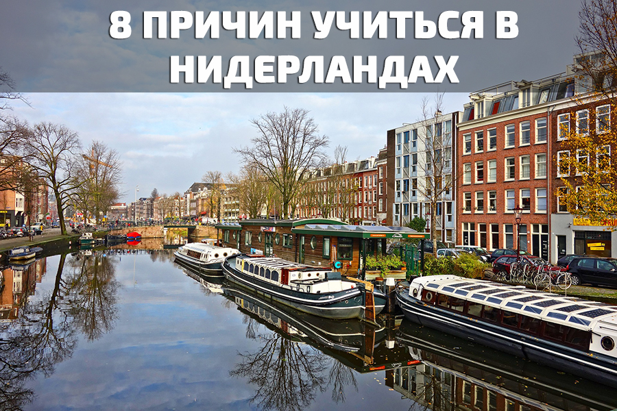 8 причин учиться в Нидерландах