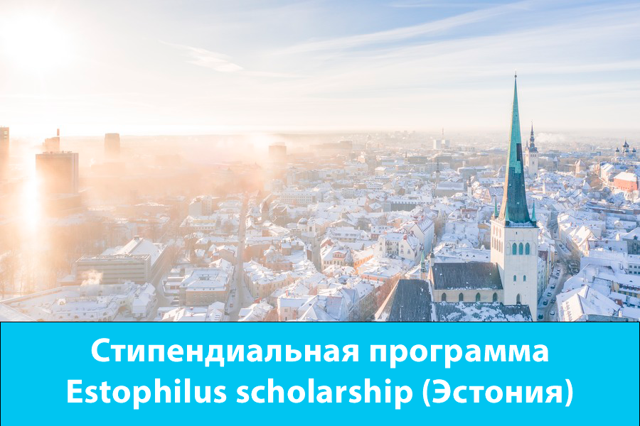 Стипендиальная программа Estophilus scholarship (Эстония) 