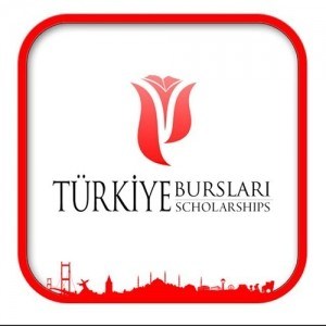 Yunus Emre Turkish Language Scholarship Program