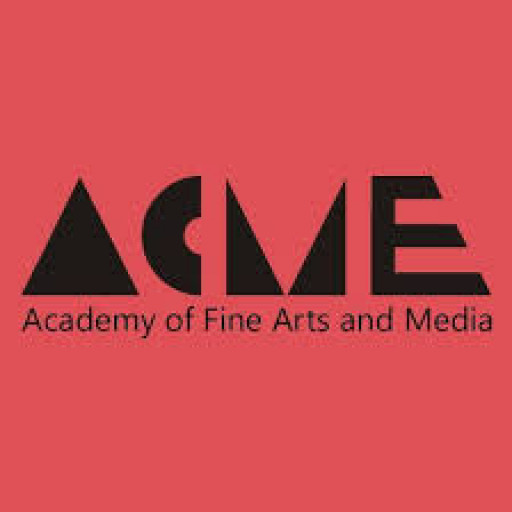 Novara ACME Academy of Fine Arts and Media
